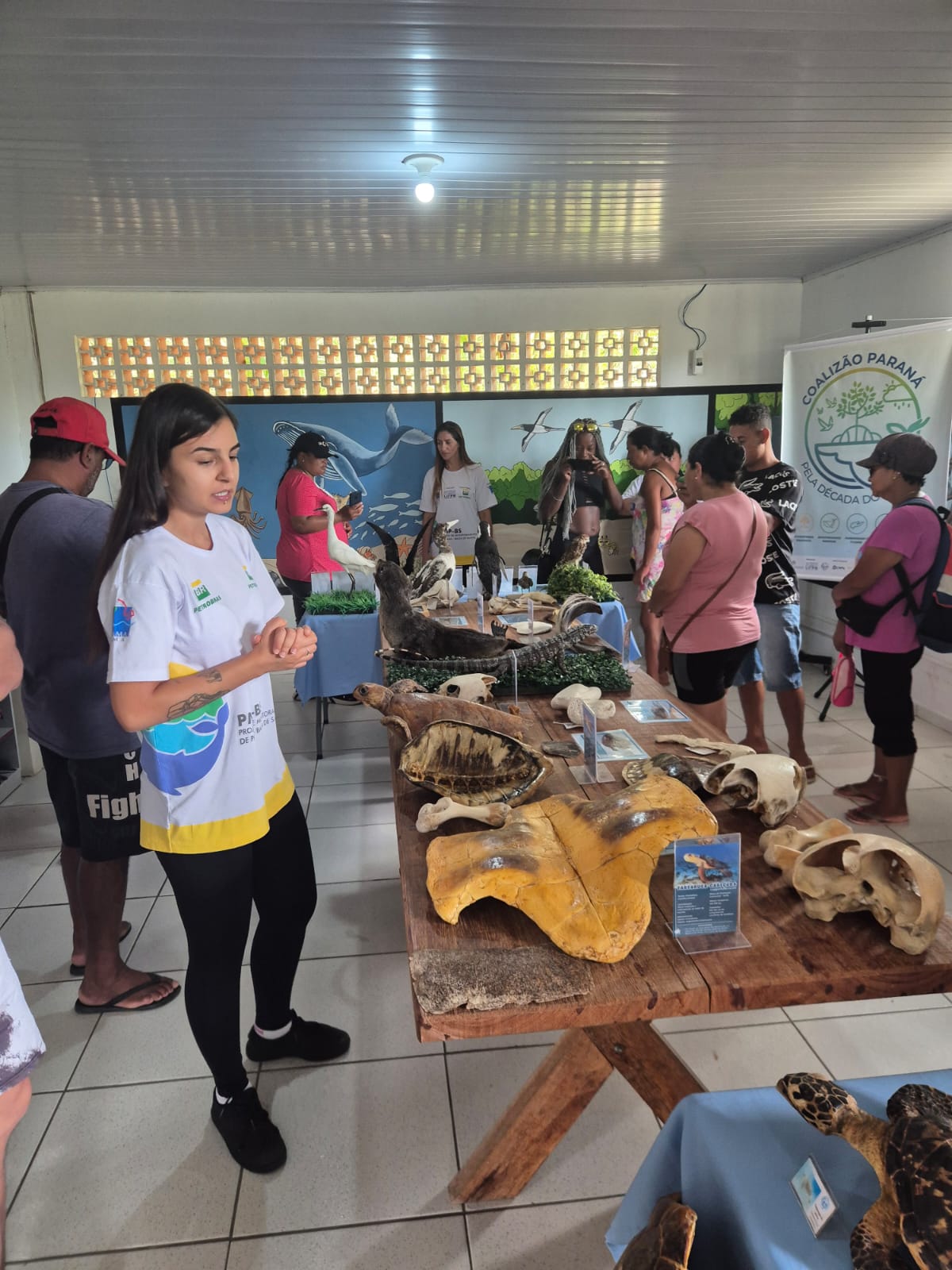 qualificação em educação ambiental 