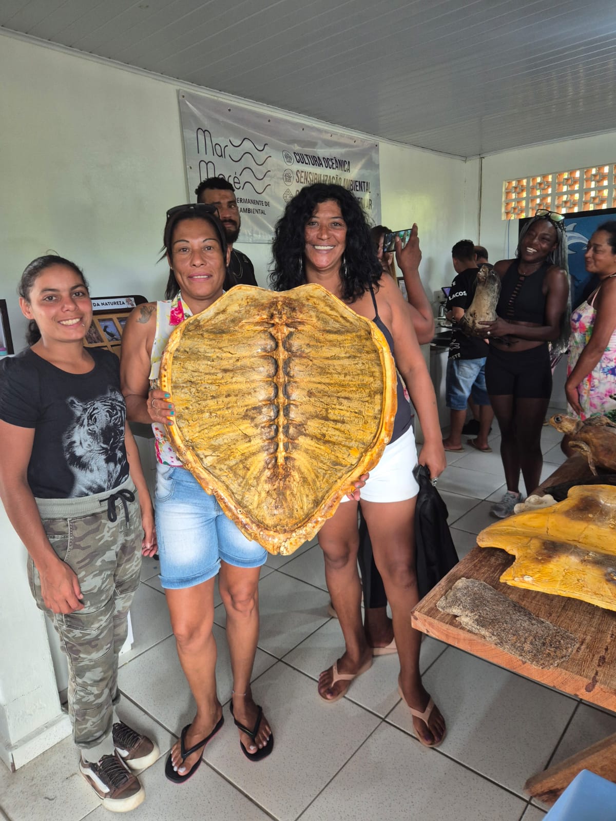 qualificação em educação ambiental 
