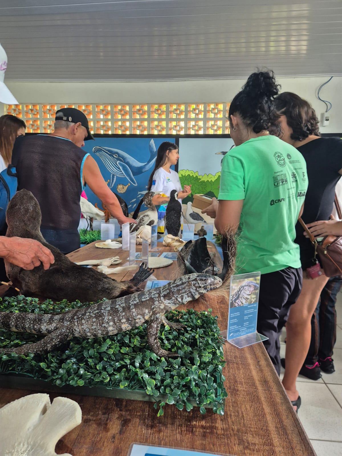 qualificação em educação ambiental 