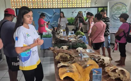 qualificação em educação ambiental 
