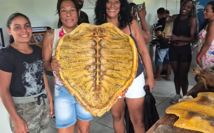 qualificação em educação ambiental 