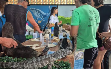 qualificação em educação ambiental 