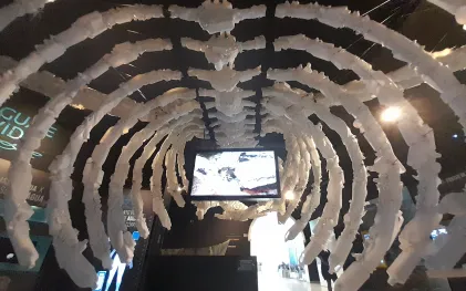 Esqueleto da baleia azul no Museu do Saneamento