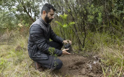 Plantio de mudas no Miringuava
