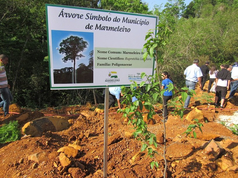 170921_-_marmeleiro_-_plantio_arvores_ete_9.jpg