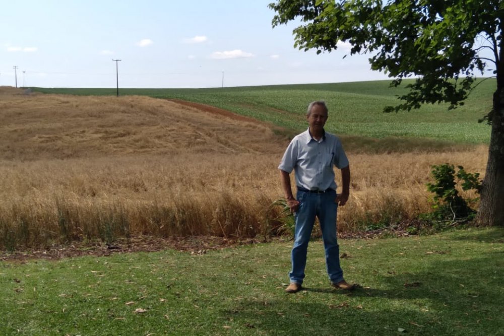 201019_agricultor_otavino_rovani_guarapuava.jpeg