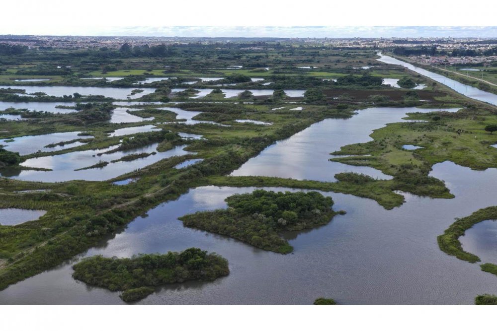 240606_mat_etes_e_wetland_-_wetlands_do_iguacu01_02.jpg