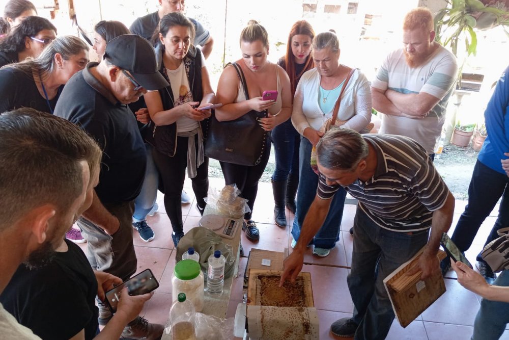 240707_mat_gesa_pts_campo_magro06_curso_meliponicultura.jpg
