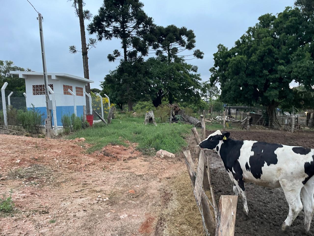 carambei_sanepar rural