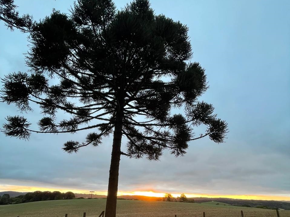 carambei_sanepar rural