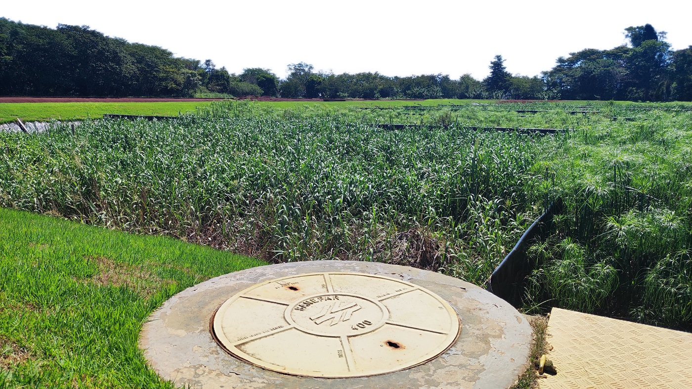 Wetland Santa Helena