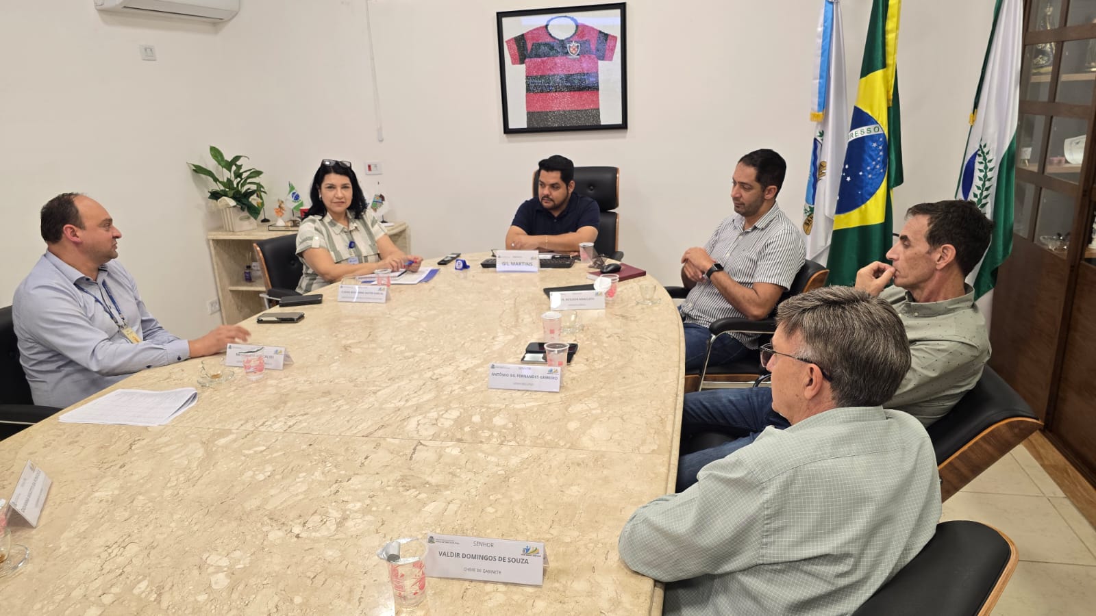 santo antônio da platina