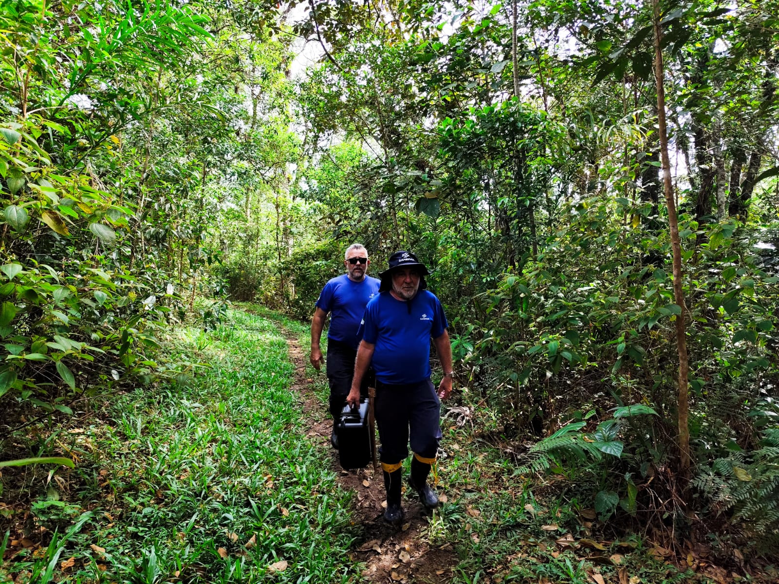 homens caminhando na mata nativa