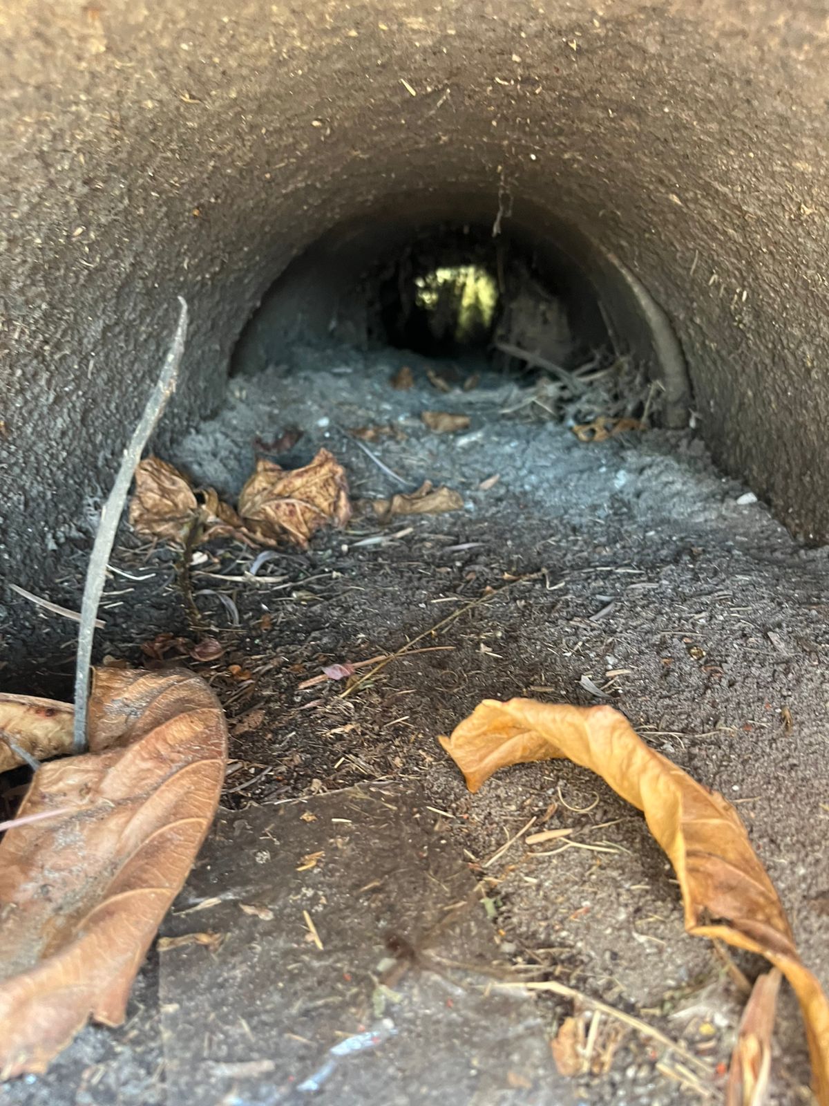 Sanepar investe R$ 1,4 milhão na limpeza de galerias de água de chuva para proteger as praias