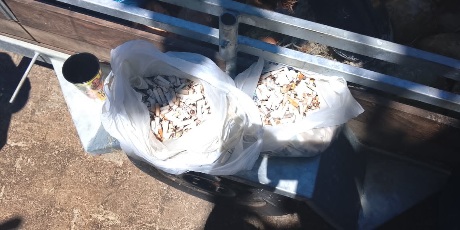 gincana de coleta de bitucas de cigarro nas praias do Paraná