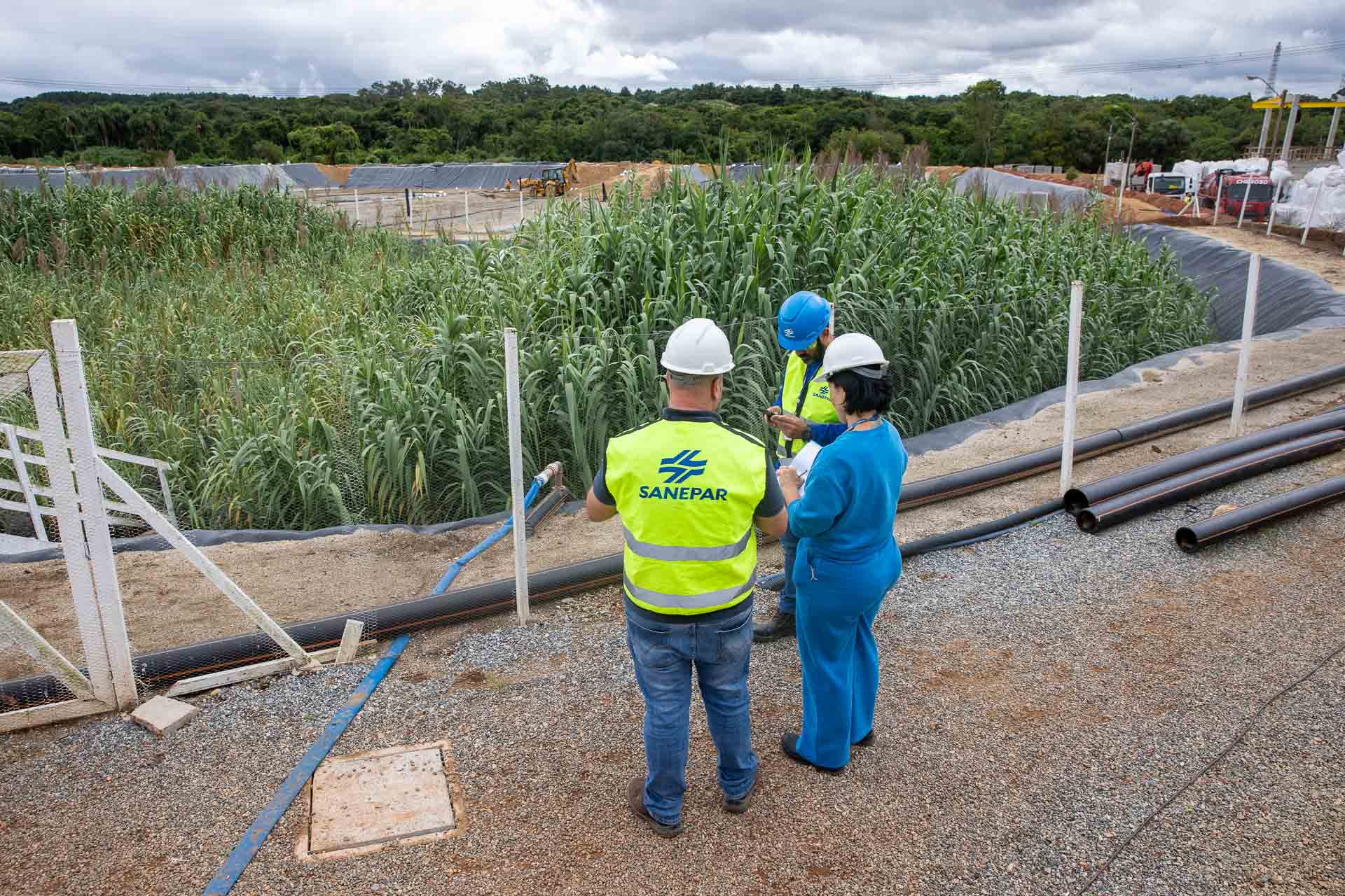 Três técnicos vestindo coletes refletivos da Sanepar conversam e analisam documentos à beira de um grande tanque de tratamento biológico tomado por vegetação alta e densa do sistema Wetland
