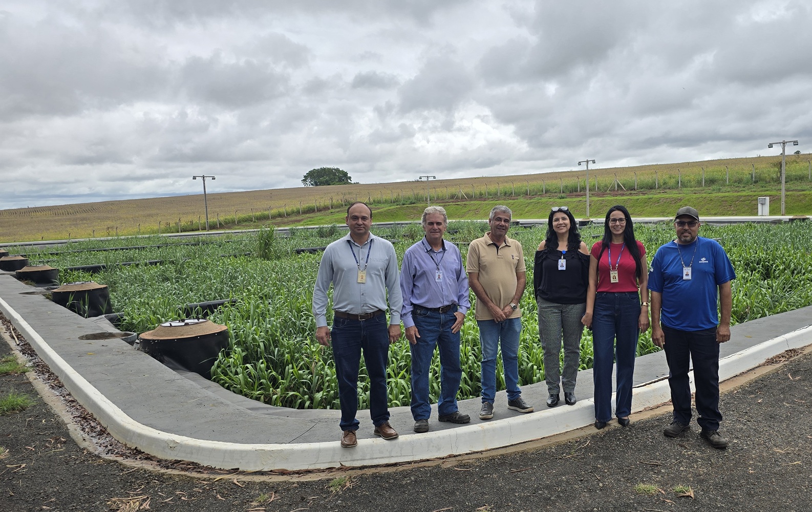 estação de tratamento de esgoto com tecnologia para tratar esgoto com zona de raiz