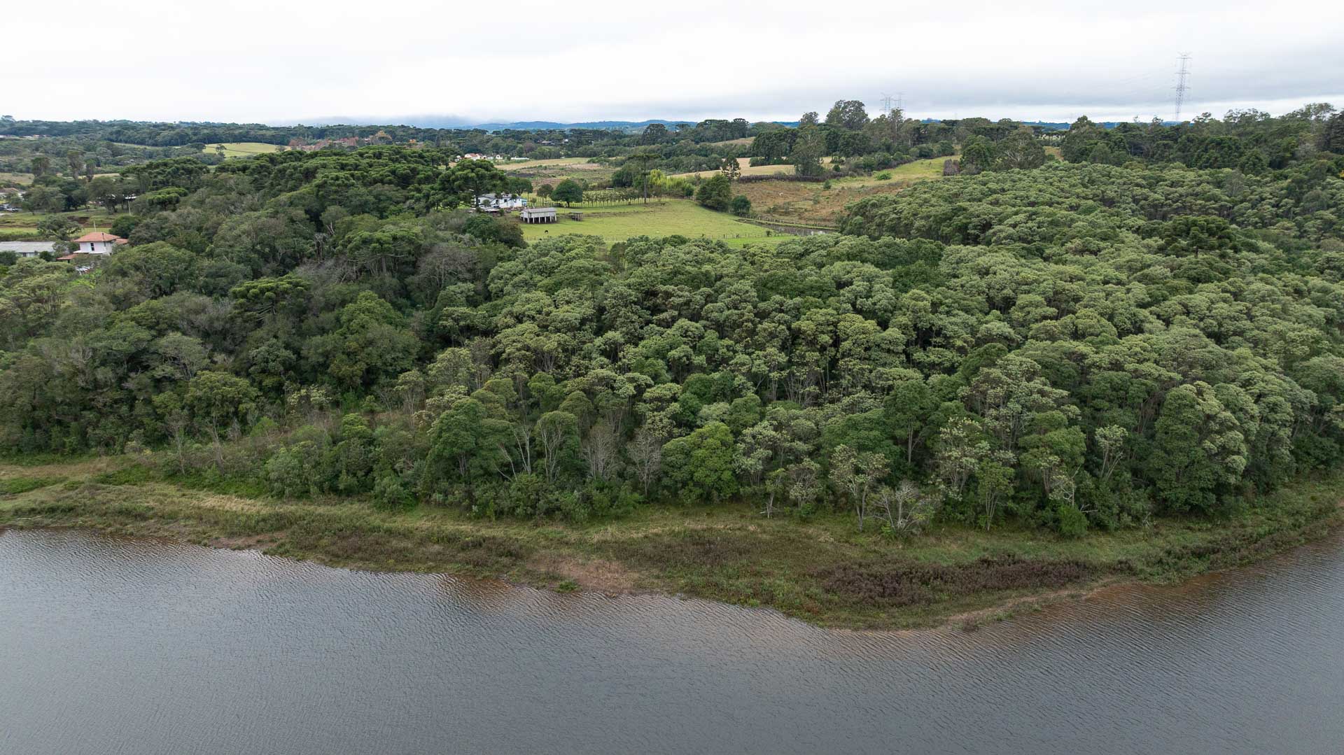 Vista aérea e panorâmica de uma região de preservação ambiental. Na metade inferior da foto, vê-se a água escura e calma de uma represa ou grande lago. A margem é delineada por uma faixa estreita de terra e vegetação rasteira. Logo acima da margem, estende-se uma floresta densa e contínua, composta por copas de árvores em variados tons de verde, incluindo algumas araucárias que se destacam pela silhueta. Ao fundo, a vegetação se abre em campos abertos e propriedades rurais com pequenas construções brancas. 