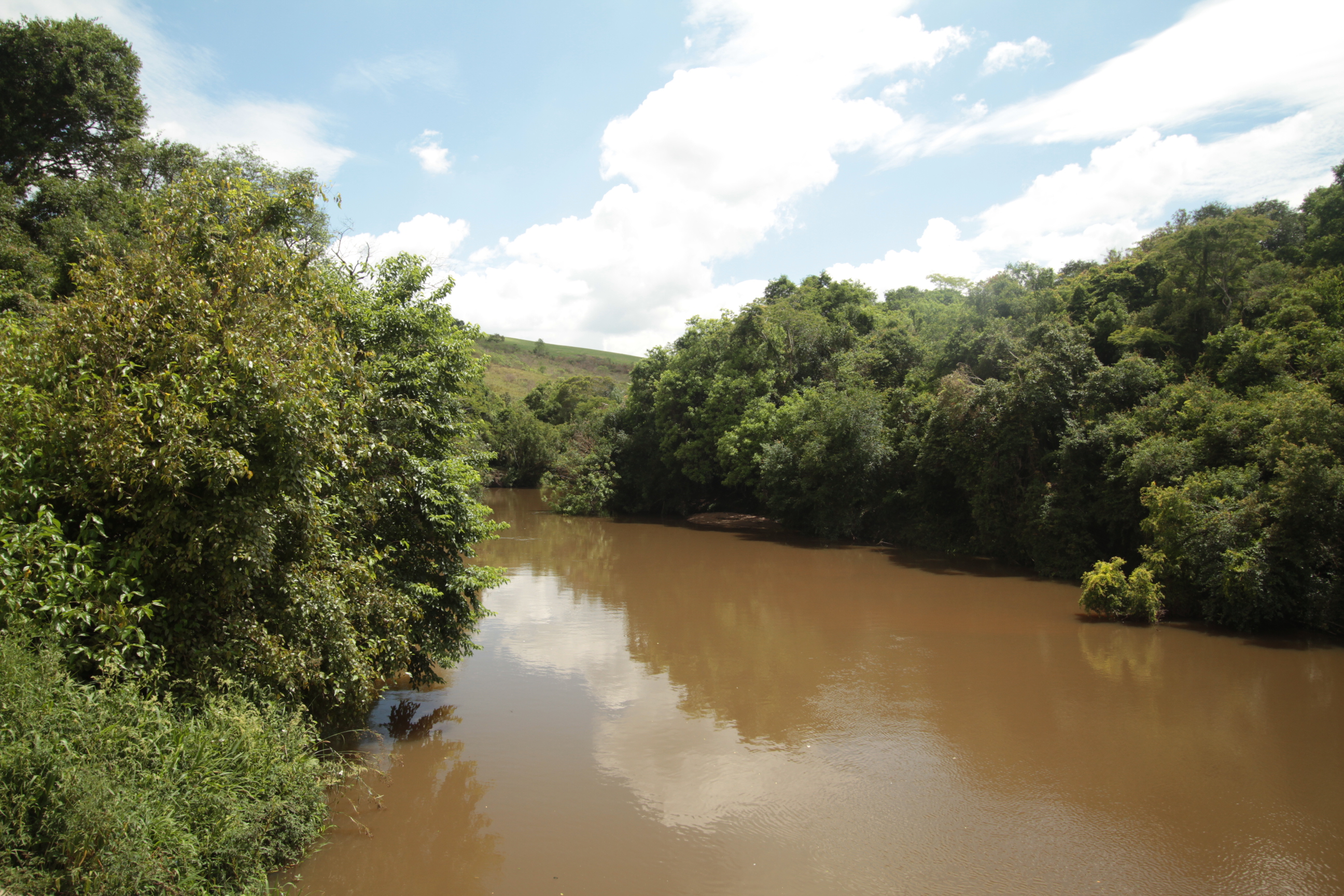 Vista panorâmica de um rio largo com água marrom e turva, cercado por densa mata ciliar verde em ambas as margens, sob um céu com nuvens brancas.