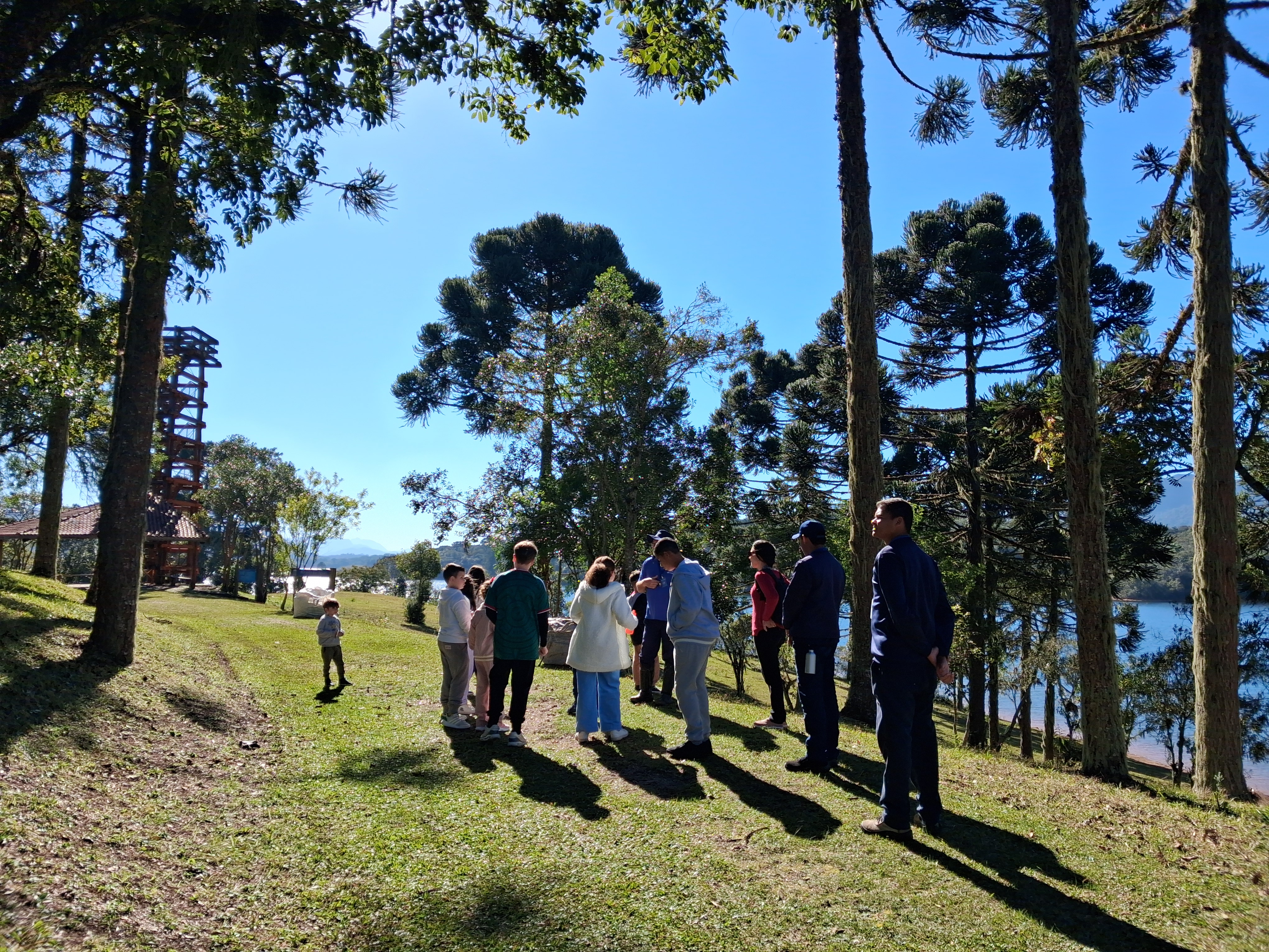 Crianças passeiam em ambiente aberto e ensolarado, na natureza.