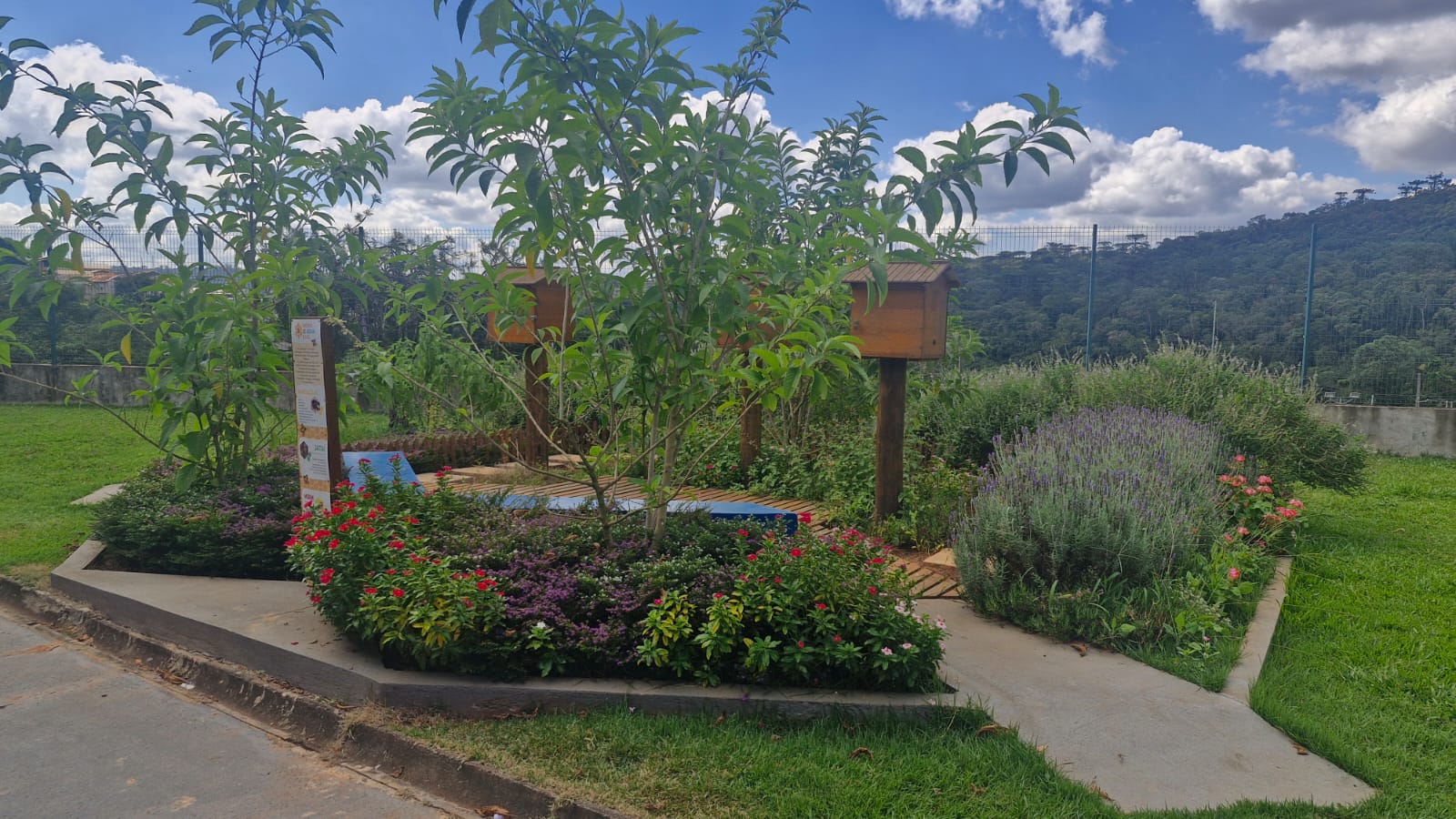 Jardim de água e mel