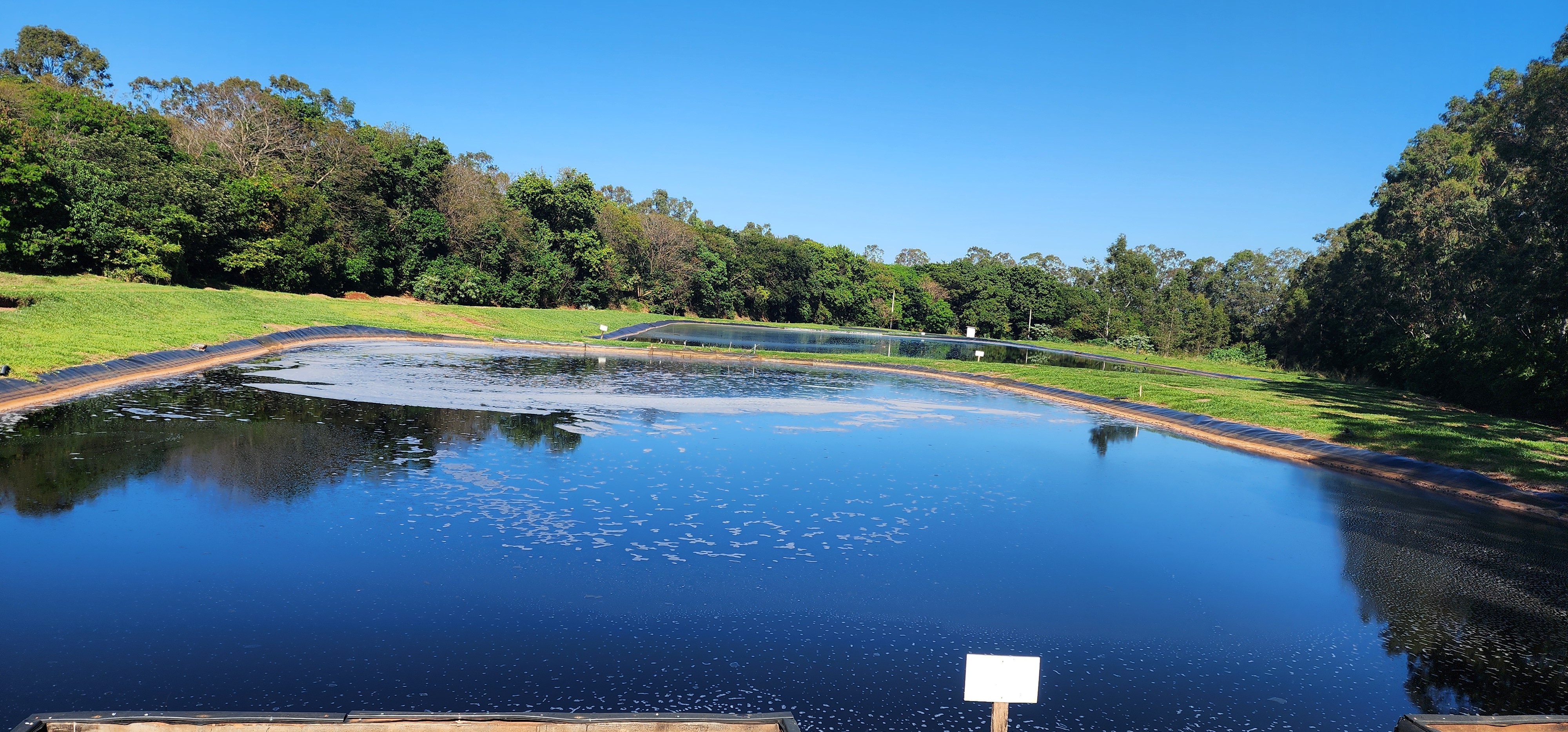  ISO 14.001 é uma norma internacional que estabelece diretrizes para sistemas de gestão ambiental
