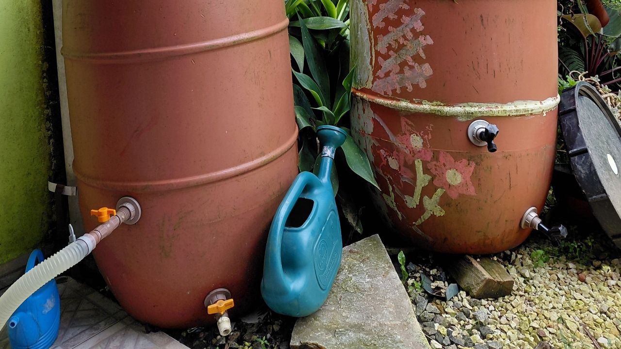 Duas bombonas plásticas marrons usadas para captação e reaproveitamento de água da chuva, com torneiras instaladas e um regador verde ao lado.