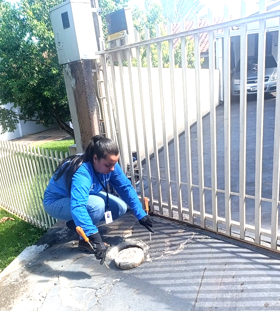 Técnica vistoria DYI