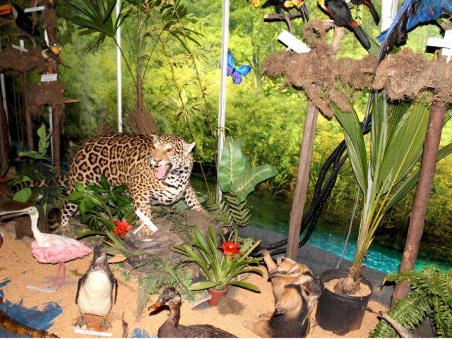 130307_estudantes_visitam_safari_noturno_na_expoparanavai2.jpeg