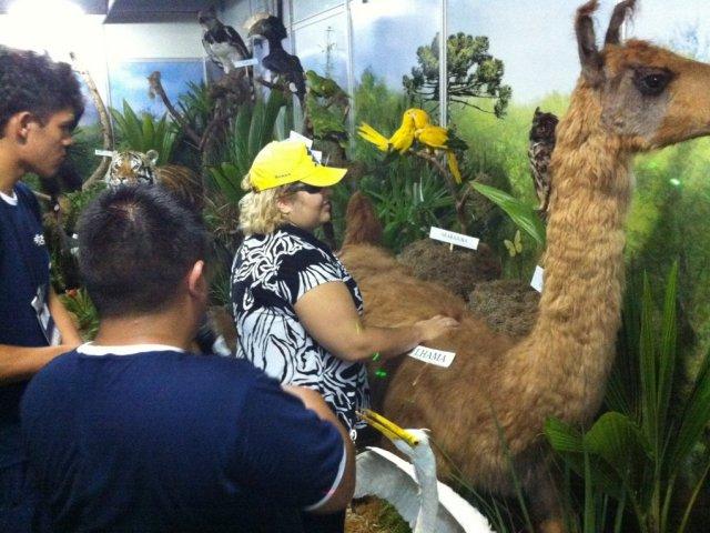 130408_londrina_expo4.jpg