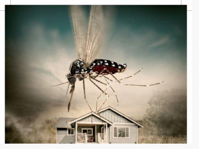 160302_-_dengue_leituristas_-_folheto_-_frente.jpg