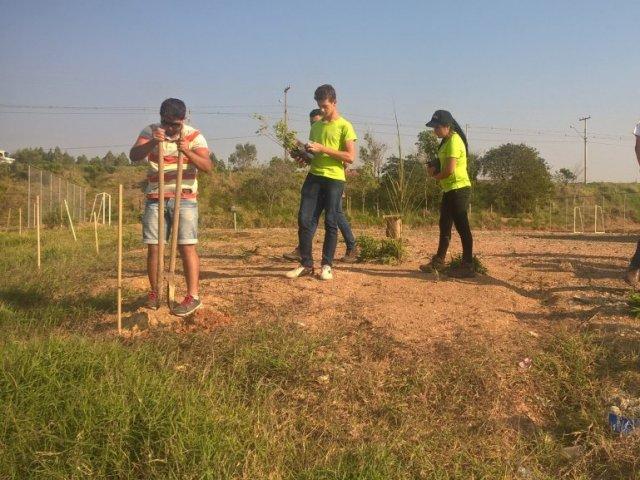 160921_-_dia_da_arvore_colegio_emira_de_moraes_ribeiro___paranavai__foto_4.jpg