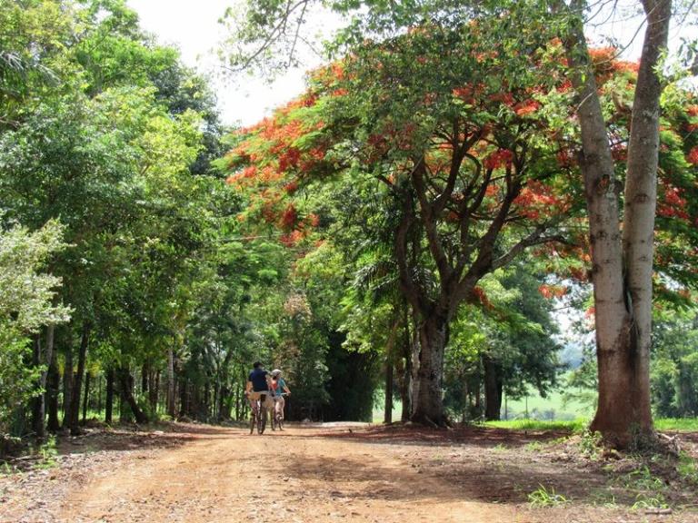 161119_londrina_ecociclo_5.jpg