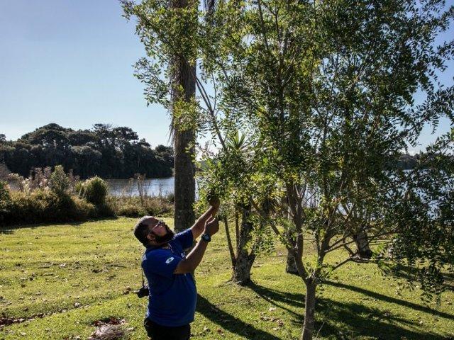 170516_dma_apd_barragem_mudas3.jpg