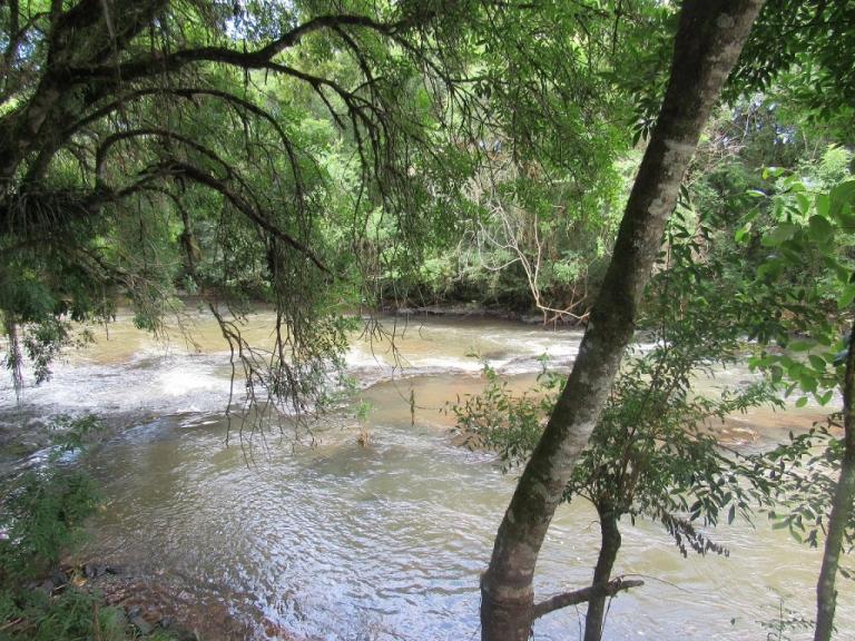 190604_-_sudoeste_-_dia_do_meio_ambiente_-_rio_pato_branco_1.jpg
