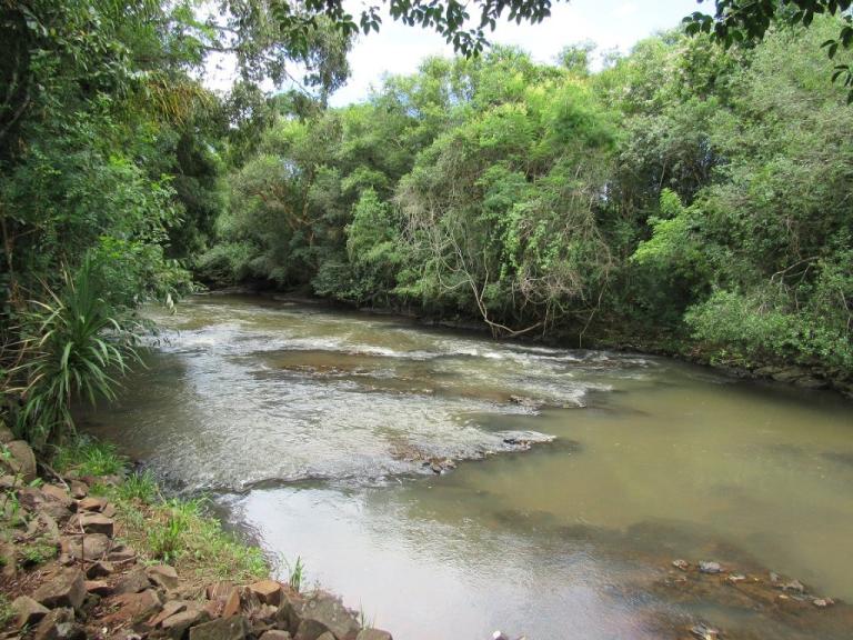 190604_-_sudoeste_-_dia_do_meio_ambiente_-_rio_pato_branco_2.jpg