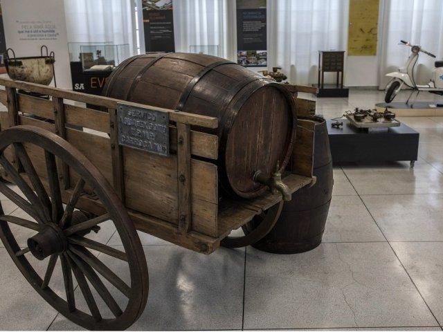 190605_dia_mundial_meio_ambiente_museu_novo_horario_1.jpg