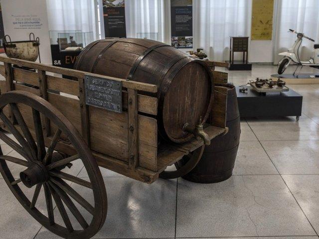 190605_dia_mundial_meio_ambiente_museu_novo_horario_1.jpg