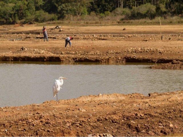 200507_barragem_passauna_-_limpeza_prefeitura_curitiba_-_andre_thiago_10.jpg