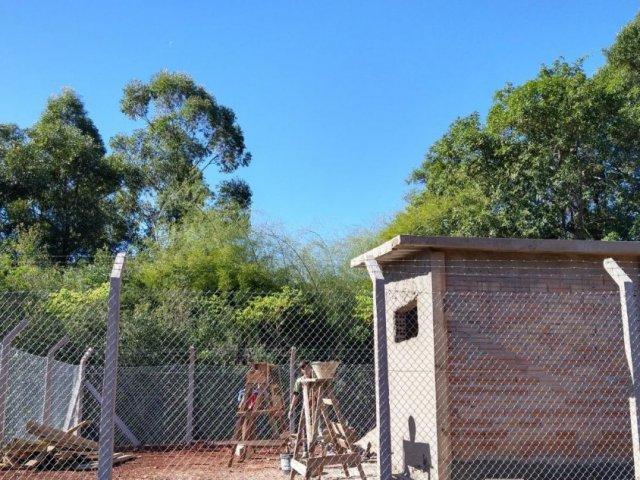 200528_-_pranchita_-_obras_poco_2.jpeg