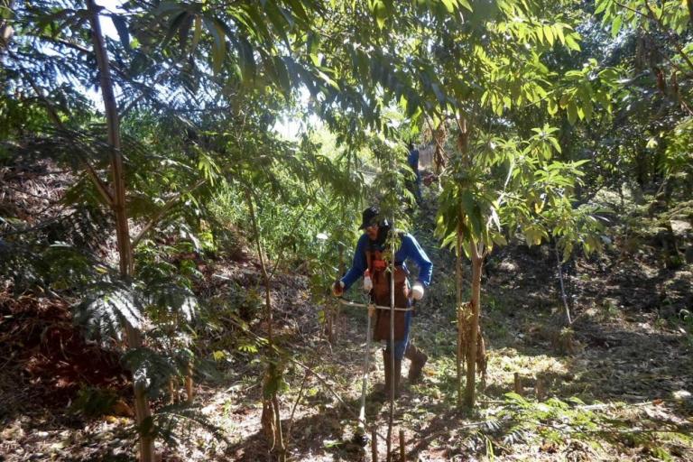 200921_-_norte_-_plantio_arvores_1.jpg
