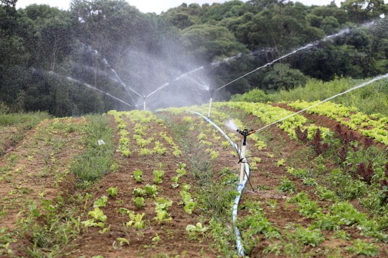 201019_irrigacao_agricultura_2.jpg