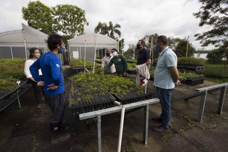 201027_piraquara_plantio_araucaria_casa_cultura_agua_28.jpg