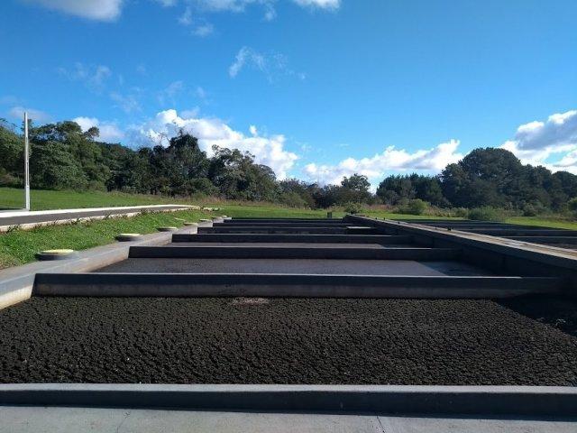 20190606_-_sanepar_-_semana_do_meio_ambiente_em_ponta_grossa_0.jpg