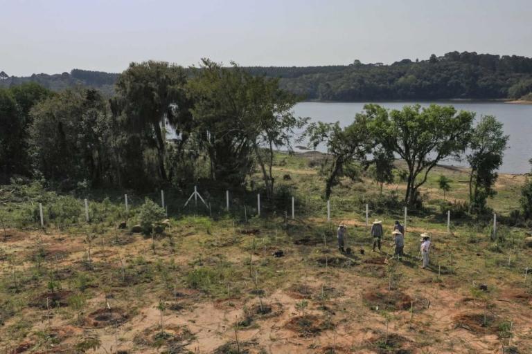 20210920_-_plantio_de_mudas_nas_barragens_-_drone_-9.jpg