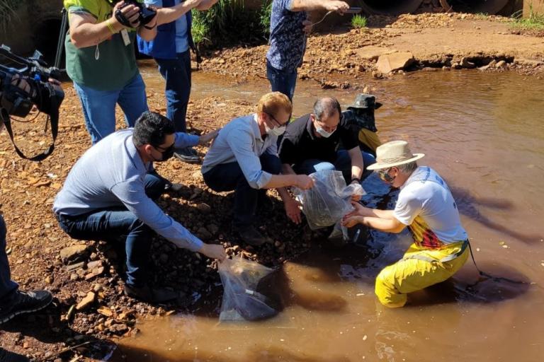211124_-_cascavel_-_dia_do_rio_-_lancamento_peixes_3.jpg
