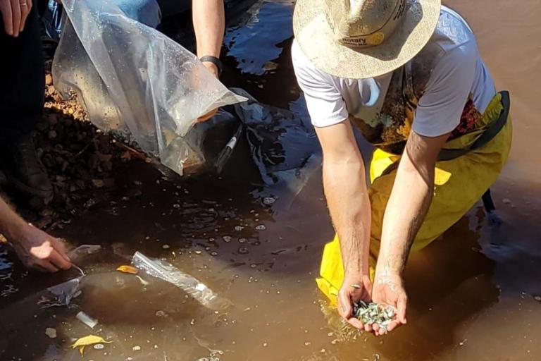 211124_-_cascavel_-_dia_do_rio_-_lancamento_peixes_5.jpg