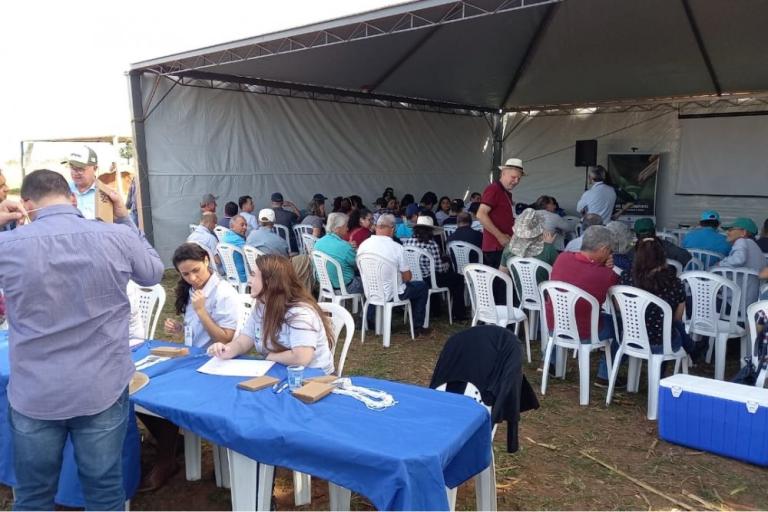 220624_umuarama_dia_de_campo.jpg