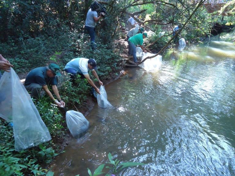 230315_-_foz_do_iguacu_-_dia_da_agua_-_limpeza_tamandua__4.jpg