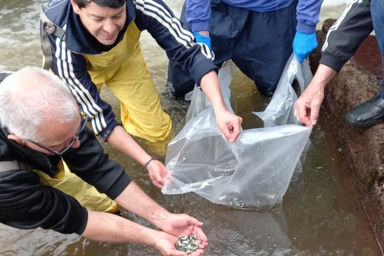 231125_-_cascavel_-_lancamento_peixes_rios_cascavel_-_peroba_-_saltinho_a1.jpg